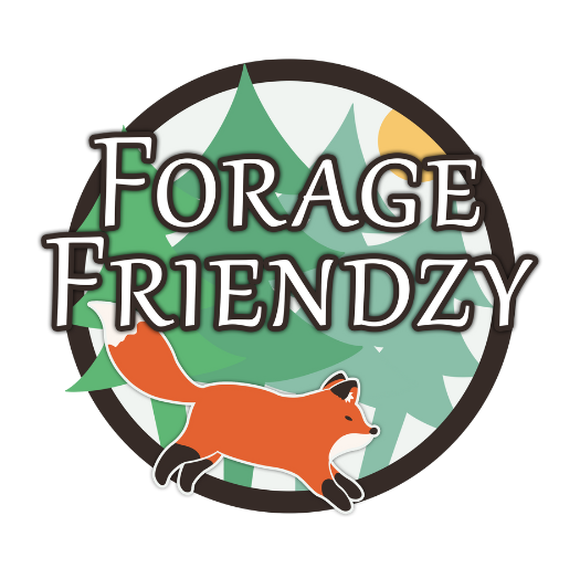 Forage Friendzy poster